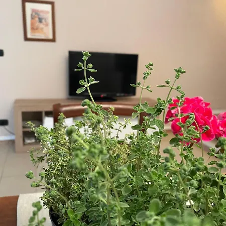 I Balconi Su San Luca - Genovainrelax Apartment Genoa